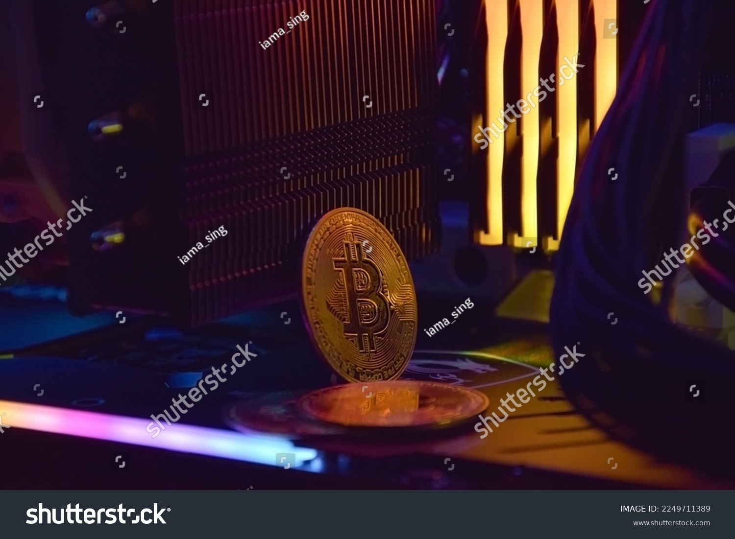 T1 v