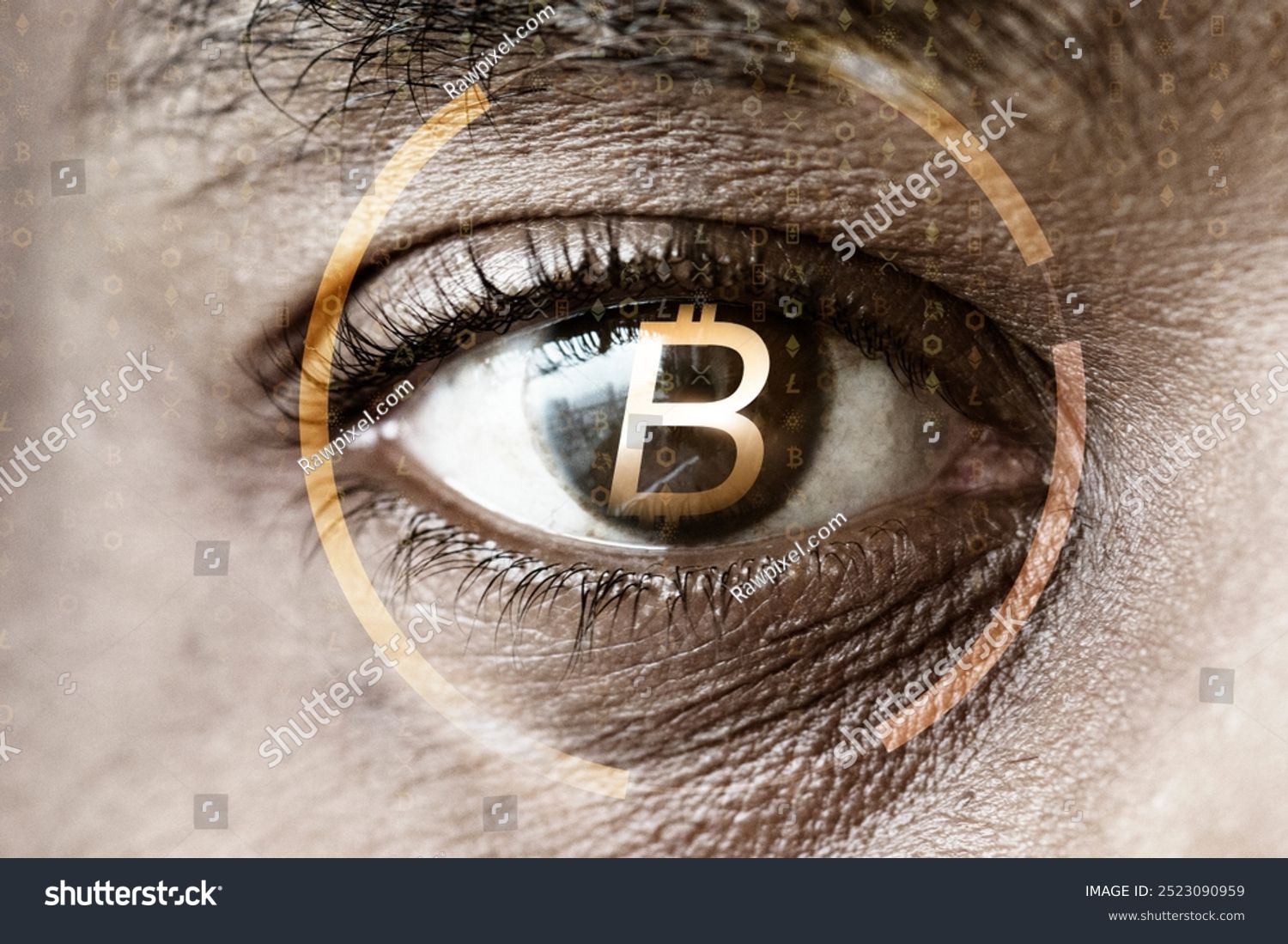 6 bò