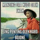 Vua 