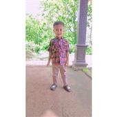 Meo 