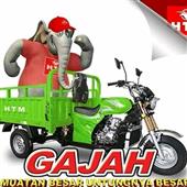 Động