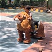 Bảng