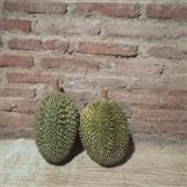 Giải