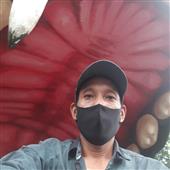 số p