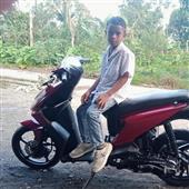 Luật