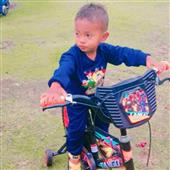 Săn 