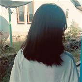 Luật