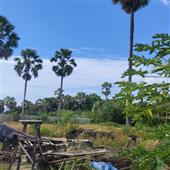 Kết 