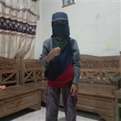 Phỉn