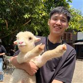 Vẻ đ