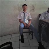 Gấu 
