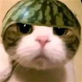 Tỷ l