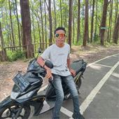 Rắn 