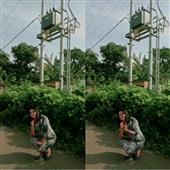 Tỷ l