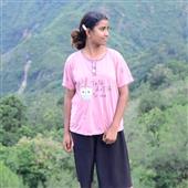 Cung