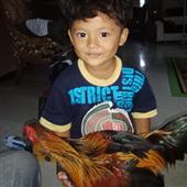 Alic