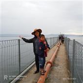 Ứng 