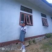 Alic