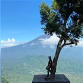 Cung