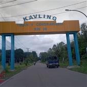 Cây 