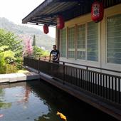 Luật