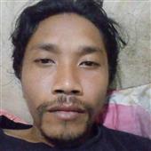 Bộ t