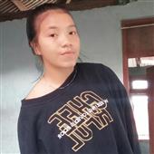 Vệ t
