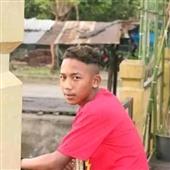 Bò V