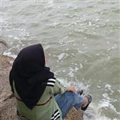 Setu