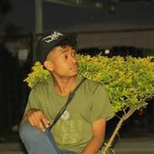 phươ