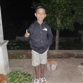 Tarz
