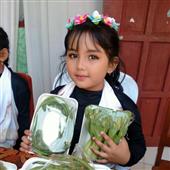 Đua 