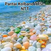 Sự t