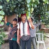 Cướp