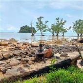 Lịch