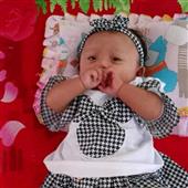 Luật