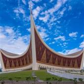 Trực