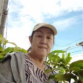 Rồng