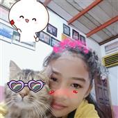 Khỉ 