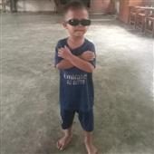 Hội 