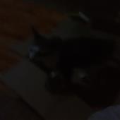 Chú 
