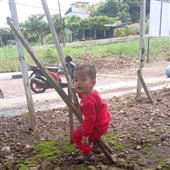 Luật