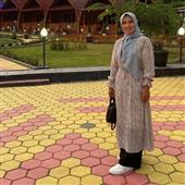 Cung