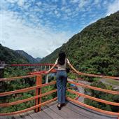 Giải