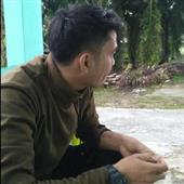 Vua 