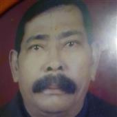 khỉ 
