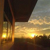 Truy