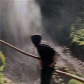 Sự g