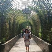 Nạp 