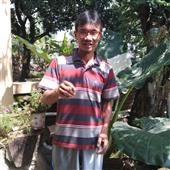 Rồng